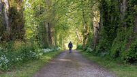 Exploring Natural Cork: Enjoy the rolling lawns of Doneraile Park