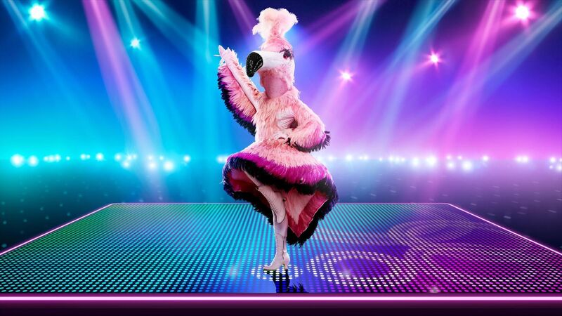 Flamingo unveiled as second celebrity goes home from The Masked Dancer Flamingo unveiled as second celebrity goes home from The Masked Dancer