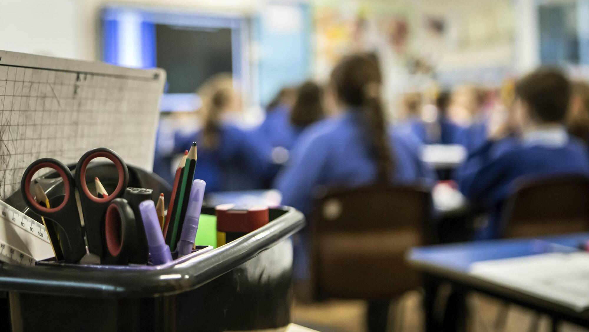 Environmental award for sixth class pupils from Rochestown - Vimarsana News