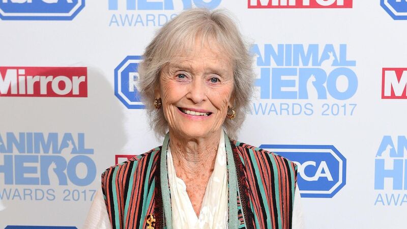 Virginia McKenna turns 90 and looks back on 'life-changing' film Born Free Virginia McKenna turns 90 and looks back on 'life-changing' film Born Free