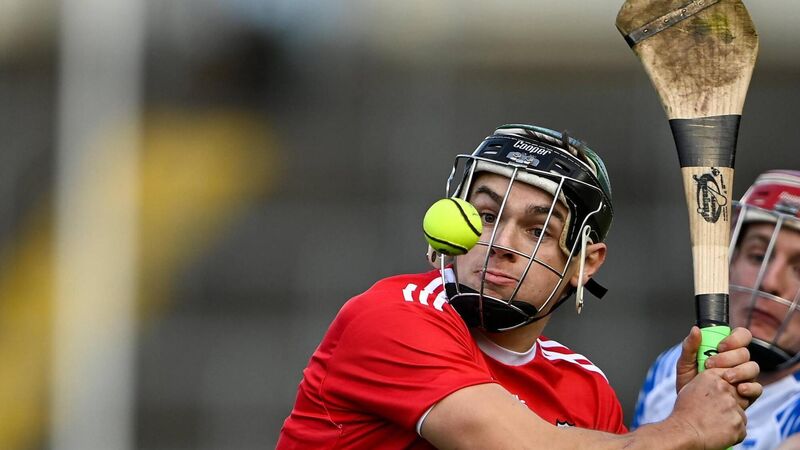 Innovation keeps Cork's Fitzgerald Hurleys on the front foot Innovation keeps Cork's Fitzgerald Hurleys on the front foot