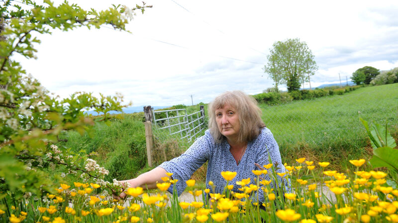Cork Nature Network co-founder Gill is passionate about helping the environment Cork Nature Network co-founder Gill is passionate about helping the environment
