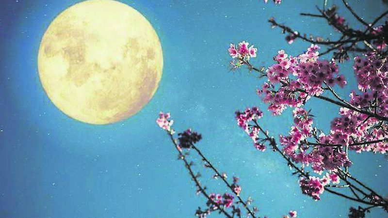 Planting, with the moon as your guide...