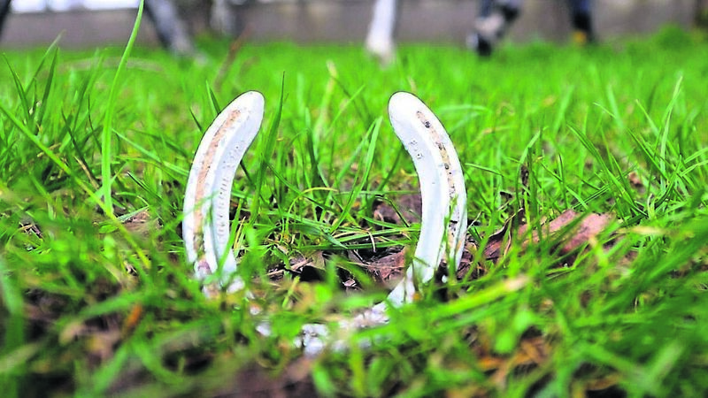 Trevor Laffan: Bird poo and horseshoes: I’ve no time for such superstitions Trevor Laffan: Bird poo and horseshoes: I’ve no time for such superstitions