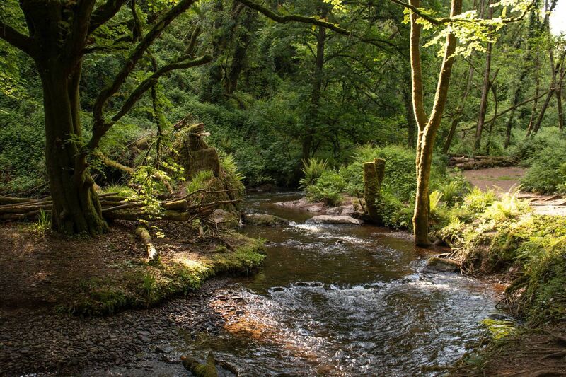 The Glashagarriff river flows through the glen.