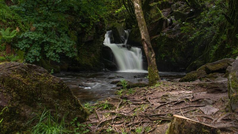 Enjoy these charming Cork woods and waterfalls