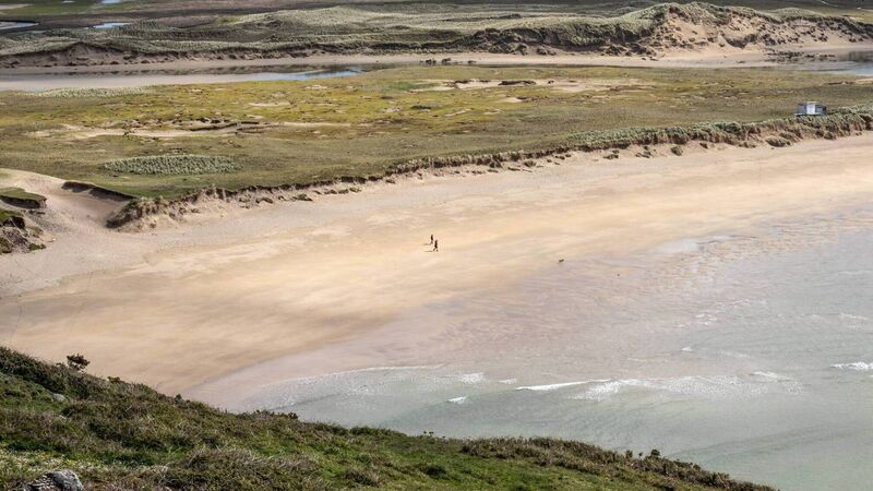 I felt I was in the tropics... but I was on a sandy beach in Cork!