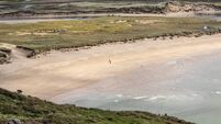 I felt I was in the tropics... but I was on a sandy beach in Cork!