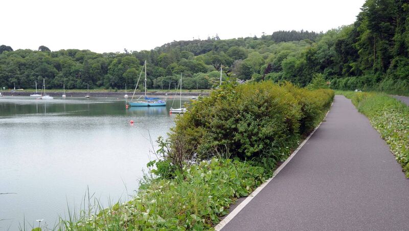 Crosshaven to Carrigaline walkway. Picture: Denis Minihane