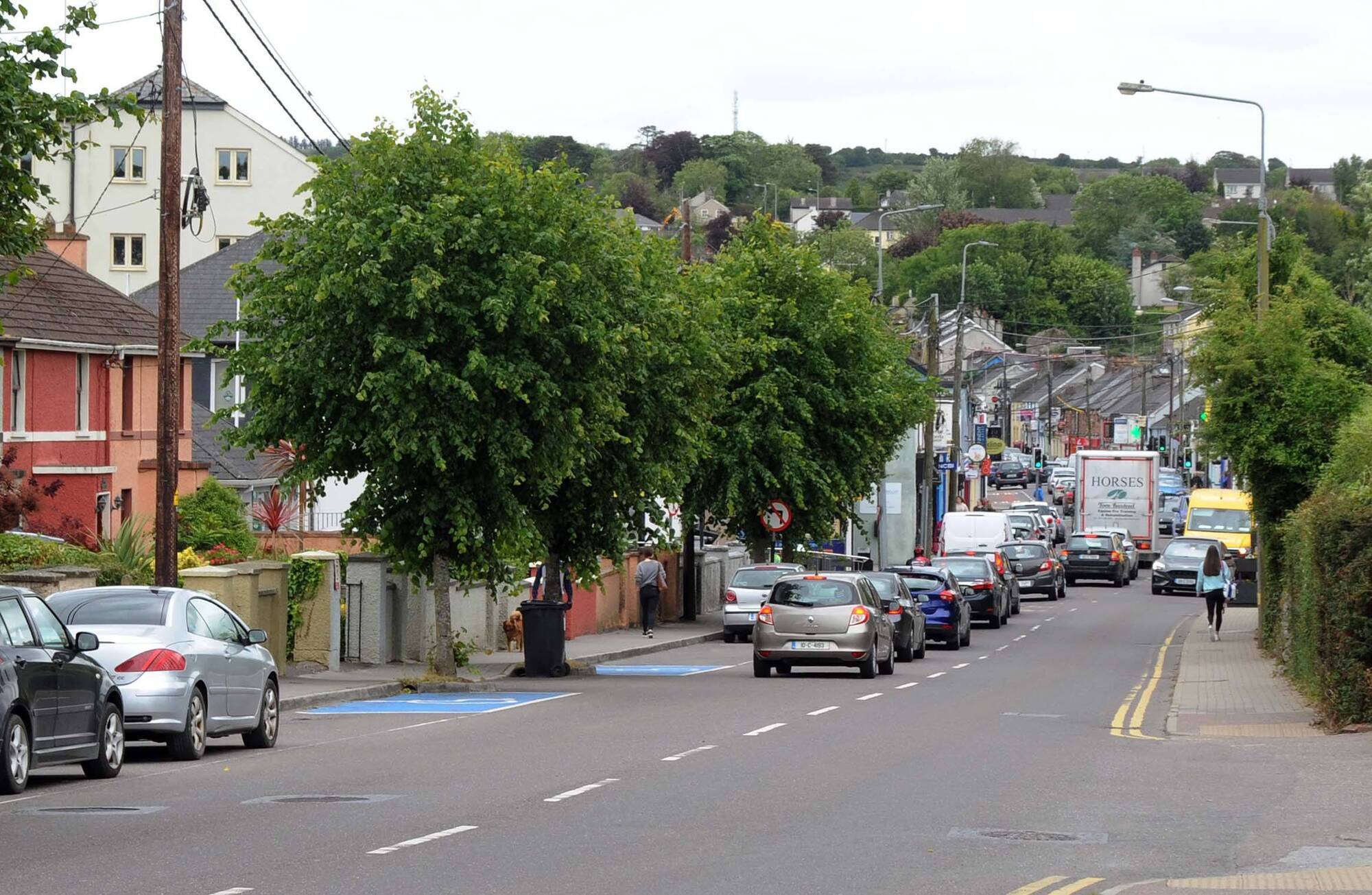 Come to My Town Carrigaline is 'country living' but just 15 minutes