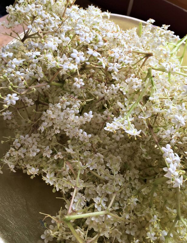 KATE RYAN Year of Flavour Elderflower KATE RYAN Year of Flavour Elderflower