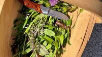 The start of summer feasting... what to grow, sow, forage and cook