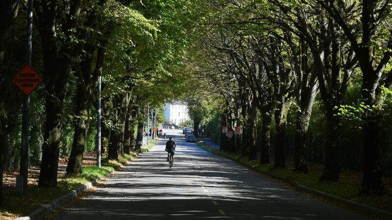 Cork City Council investigate foul stench along popular walkway