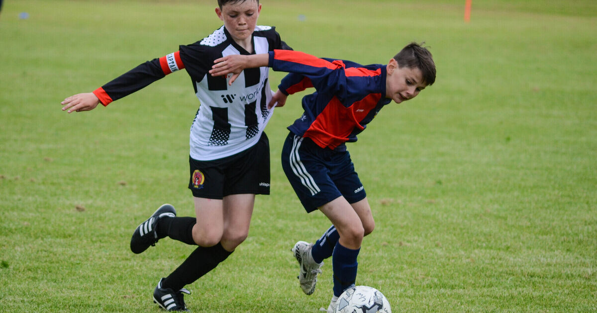 Cork Schoolboys League treasurer moves into key role at national level