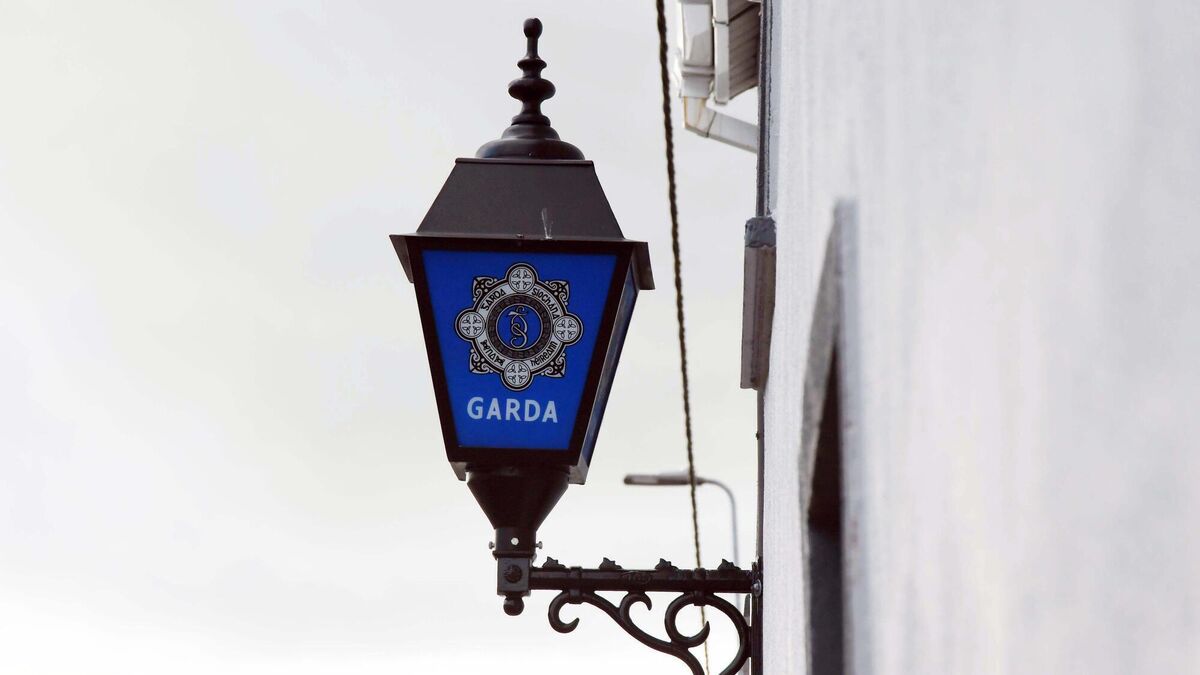 Gardaí confiscate cannabis plants planted along city centre footbridge