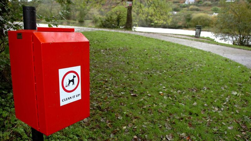 Six fines issued for dog fouling offences in Cork in 17 months