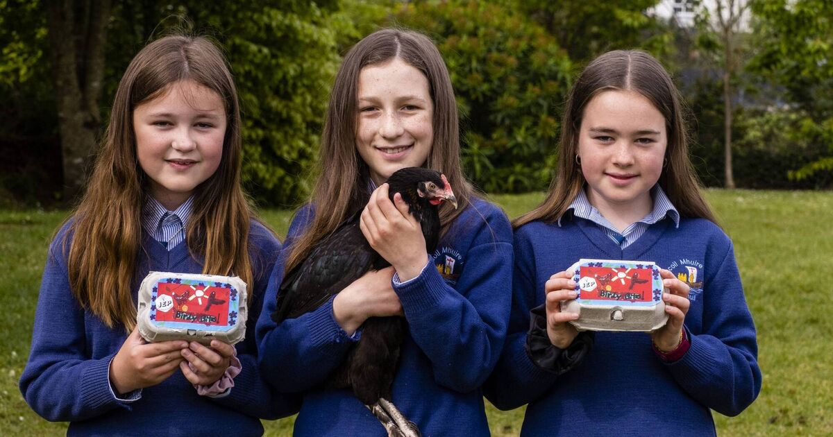 Cork primary school wins Class of the Year award in the annual Junior Entrepreneur Programme