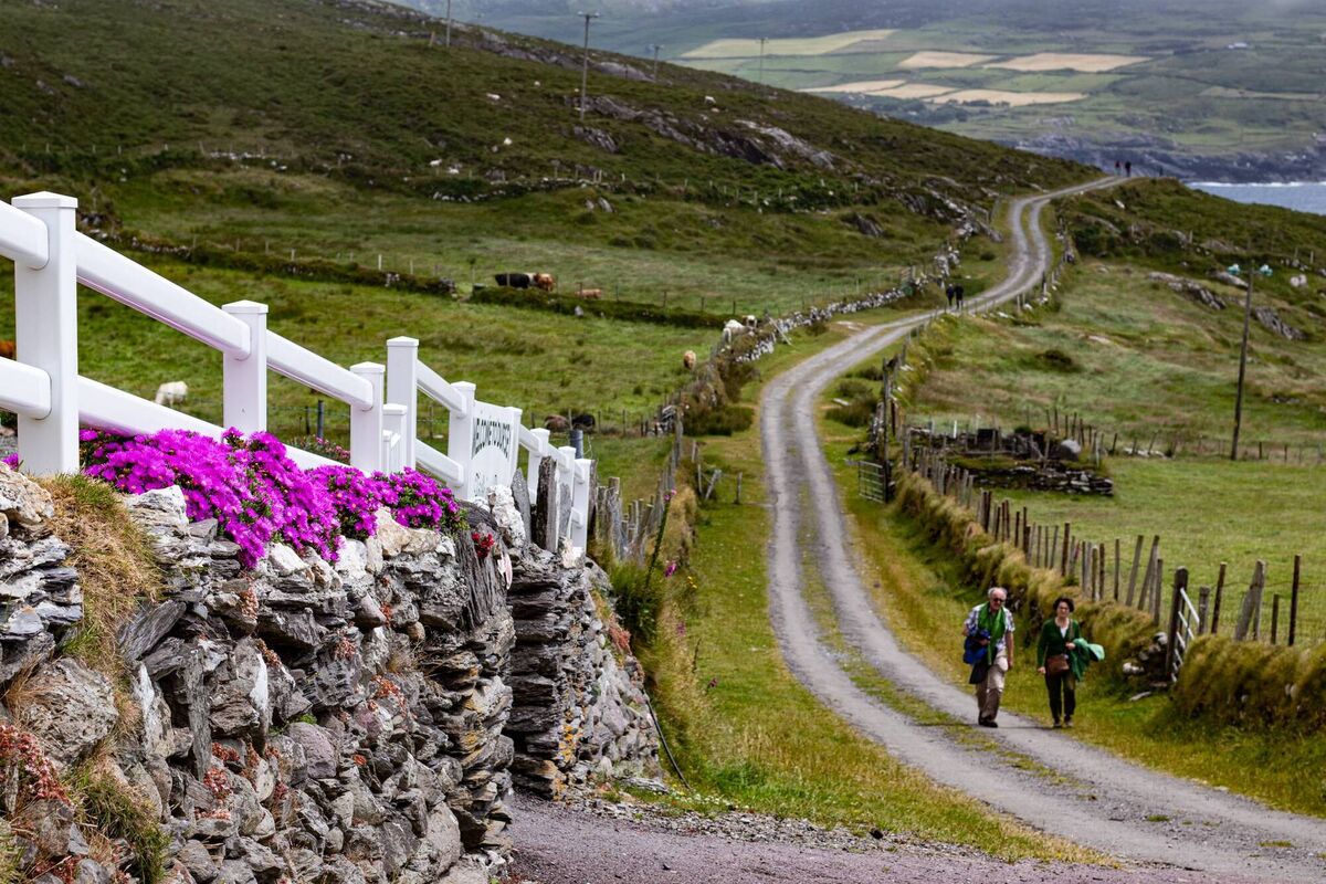Narrow roadways wind around the island - with 100km speed limits. Narrow roadways wind around the island - with 100km speed limits.
