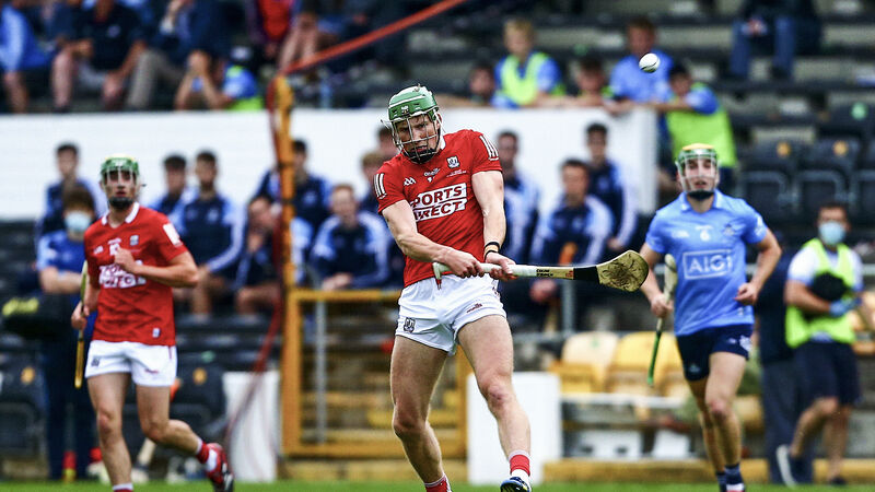 Roche twins and Colin O'Brien added to Cork senior hurling panel