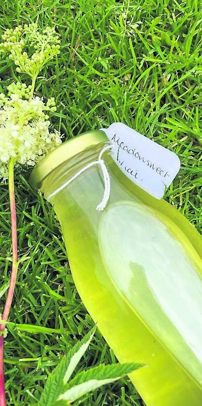 Meadowsweet Cordial. Meadowsweet Cordial.
