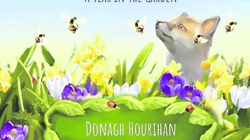 Taking a stroll through seasons with Corkman