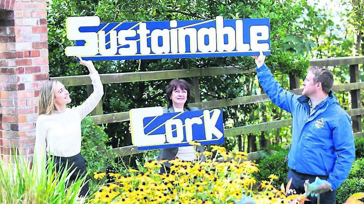 How we can unlock Ireland’s potential