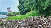Cork beauty spots named as among most heavily littered