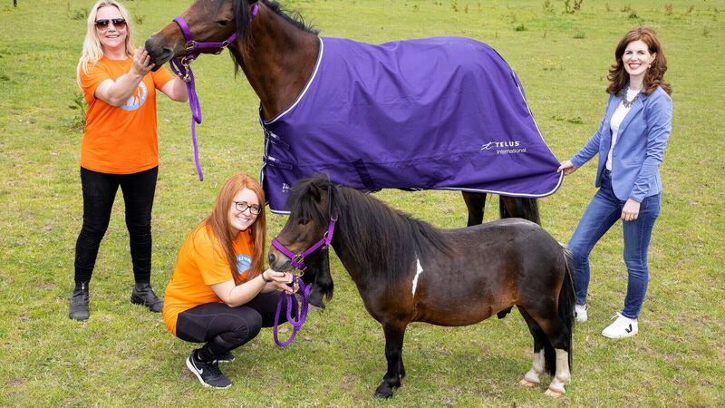 Cork-based charity to have costs of all animal feed covered for a year 