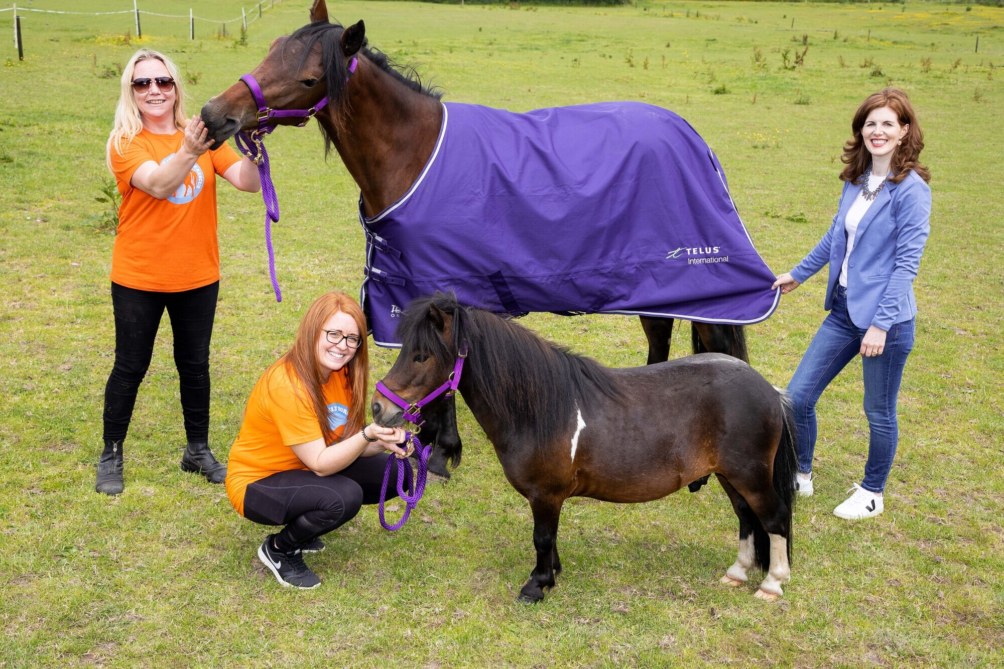 Cork-based charity to have costs of all animal feed covered for a year