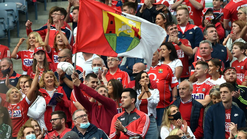 Cork v Limerick: Rebel rise firmly pushed down by ruthless champions Cork v Limerick: Rebel rise firmly pushed down by ruthless champions