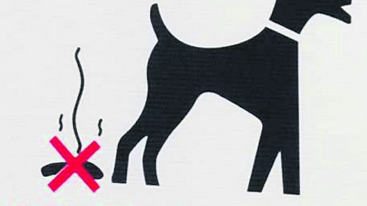 Authorities should unleash full weight of the law on dog poop