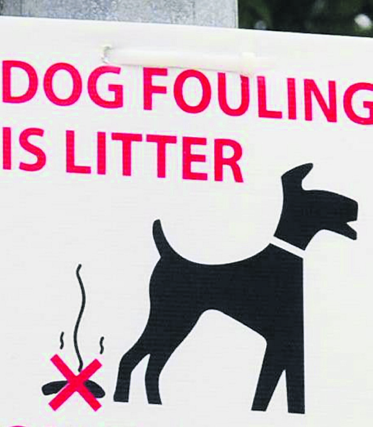 Authorities should unleash full weight of the law on dog poop