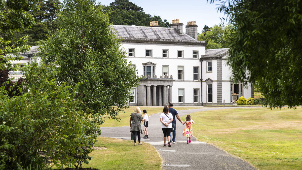 Watch: Looking for somewhere to explore this weekend? What about these stunning Cork gardens