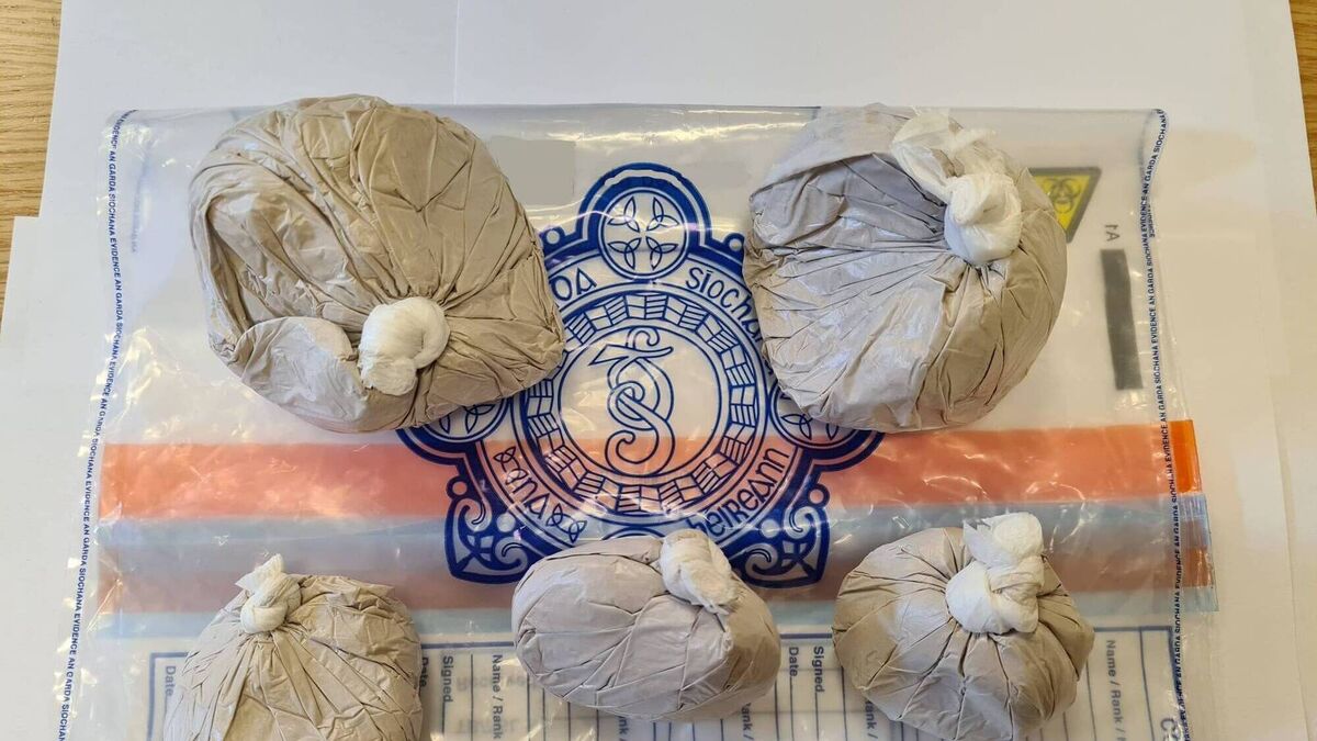 Drugs seized in Cork after Garda dog alerted handlers to man alighting ...