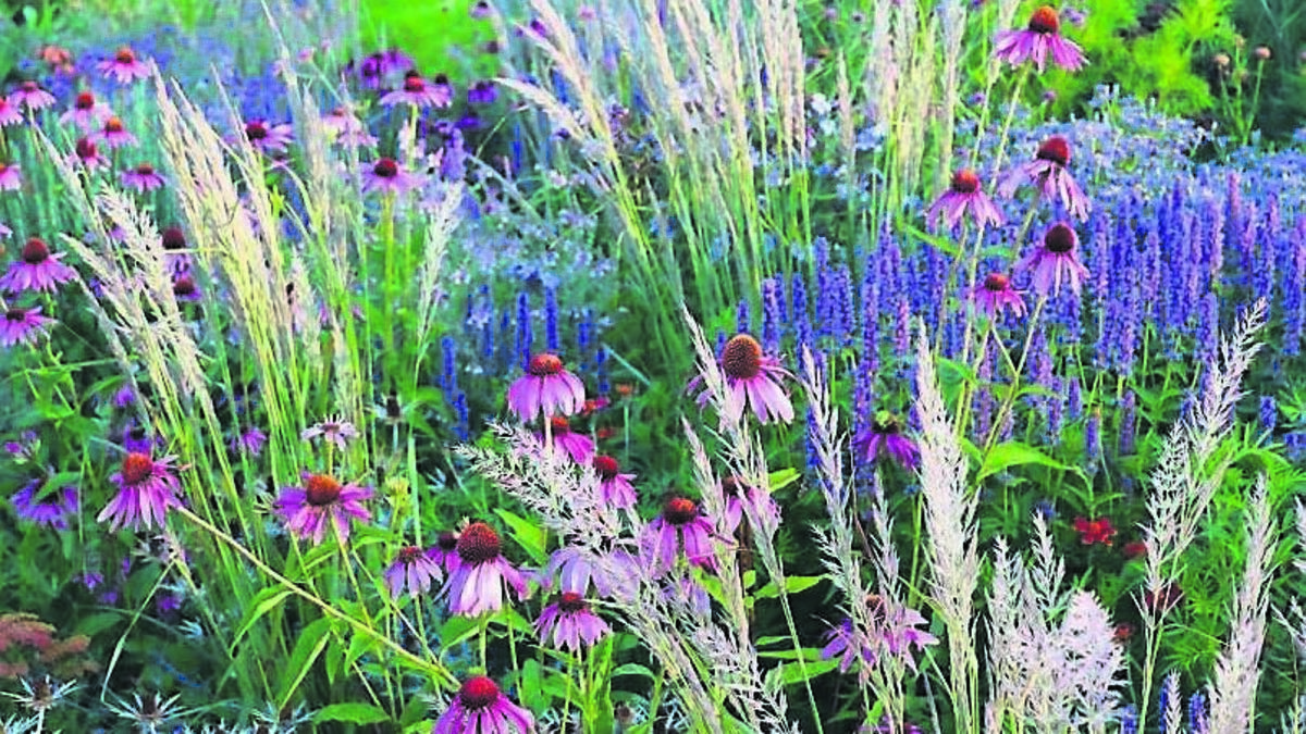 A to-do list for gardeners as autumn looms