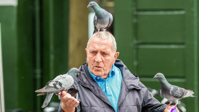 Cork's 'Birdman' takes to the airwaves after Council follow up on complaints about bird poo