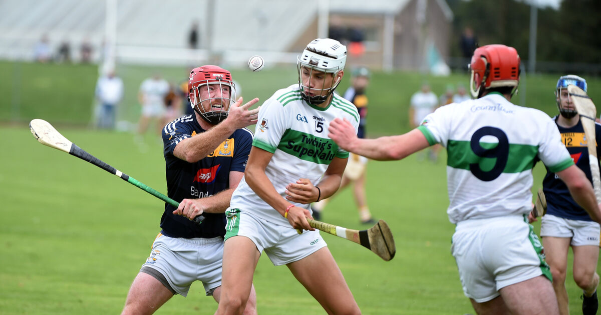 Cork hurling Blarney and Kanturk head up exciting SAHC fixture list