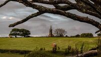 Community in County Cork rallies to protect local historical site