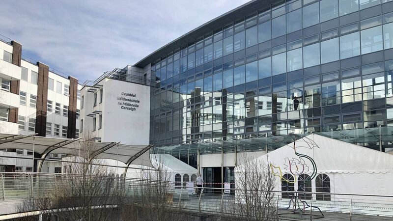 Hospital group apologises as investigation takes place at Cork University Maternity Hospital into incineration of organs of 18 babies Hospital group apologises as investigation takes place at Cork University Maternity Hospital into incineration of organs of 18 babies