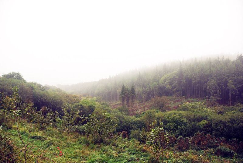 Future Orchard, located on the outskirts of Glanmire, County Cork. Pictures: Elaine Garde