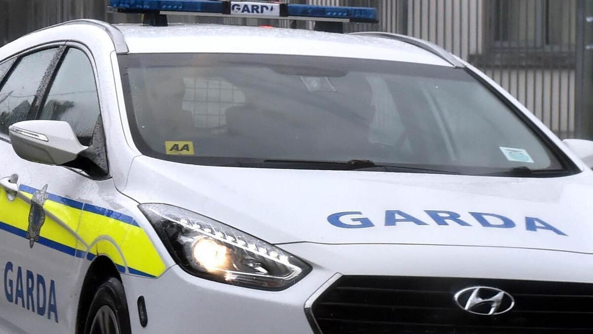 Motorist who hit 175km/h and crashed into a ditch in Cork given suspended sentence and driving ban - Vimarsana News
