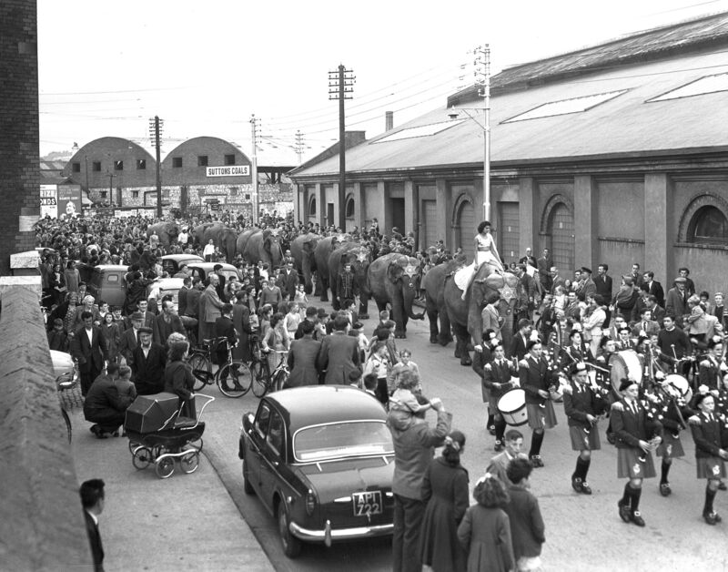 The CBS Pipe Band Blarney Street leading the parade of elephants from the Bandon Railway to Chipperfields Circus September 1959.