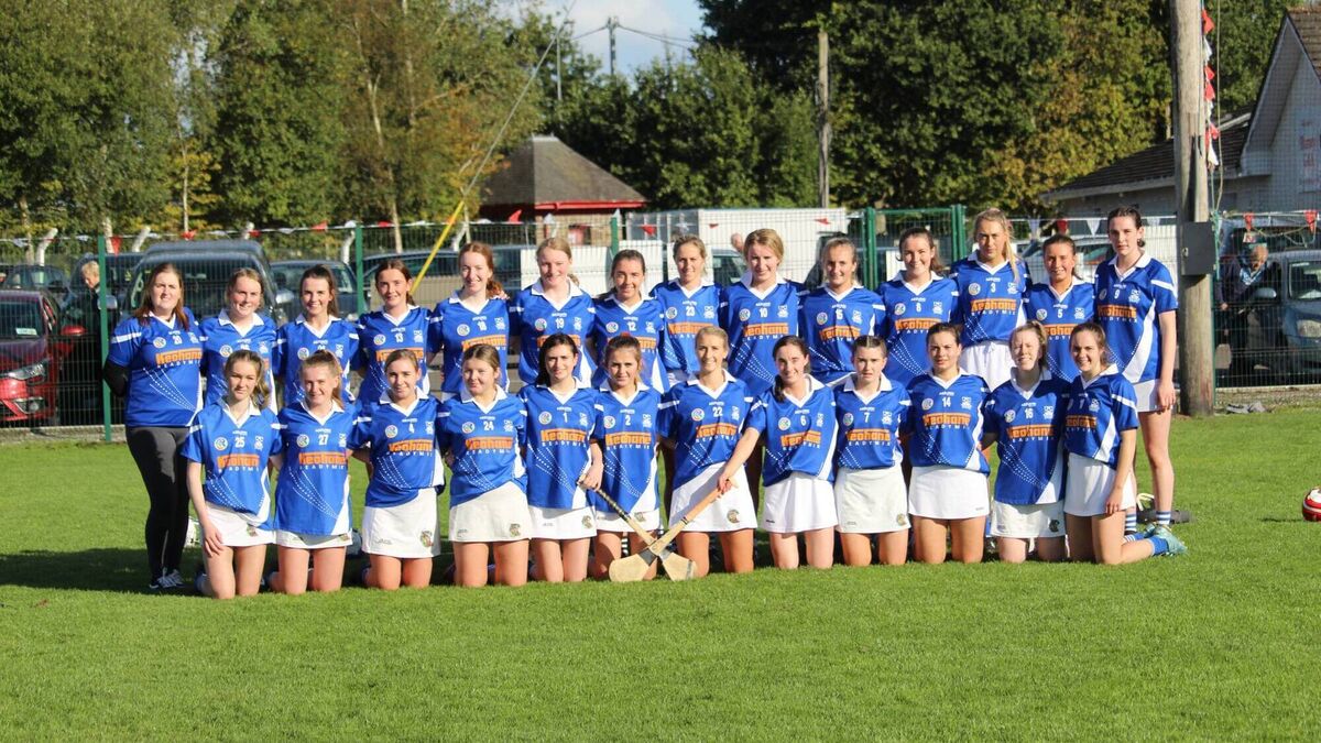 Junior county camogie glory for improving Kilbree club