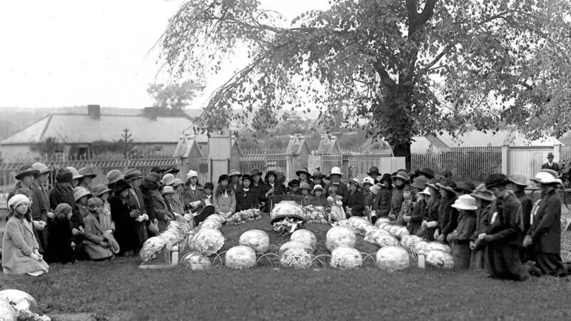 Remembering Tadhg Barry, freedom fighter and key figure in hurling history