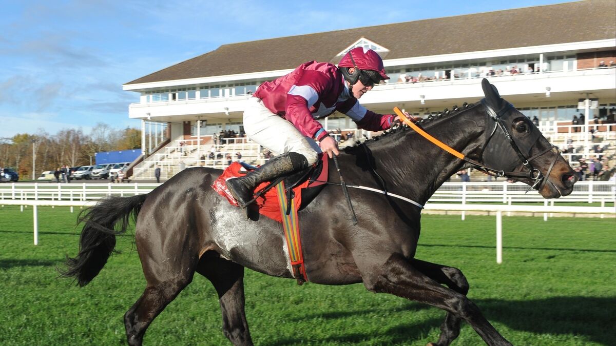 Magic leaves the field in a Daze at Cork Racecourse Mallow