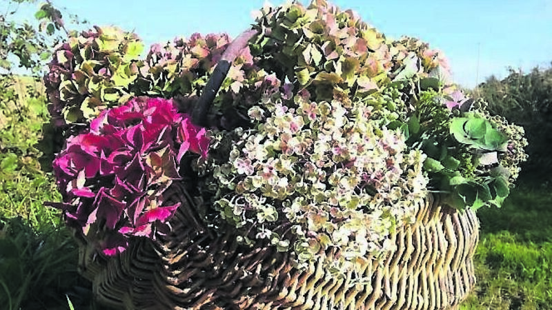 How to plan ahead for festive flower arrangements