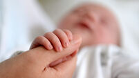 Baby Stock