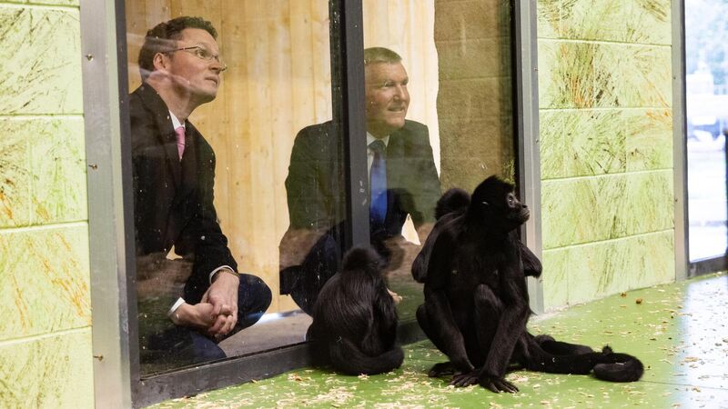 Fota Wildlife Park opens new habitat