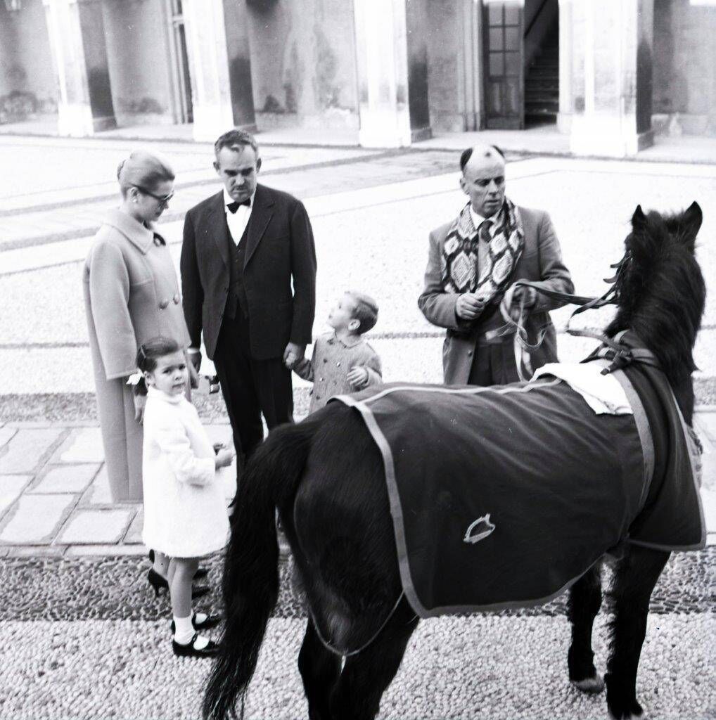 Babbling Brook arrives in Monte Carlo - a gift from de Valera to Princess Grace's daughter, Caroline. Babbling Brook arrives in Monte Carlo - a gift from de Valera to Princess Grace's daughter, Caroline.