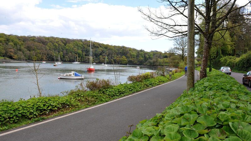 Cork local authorities to communicate about Lee to Sea greenway